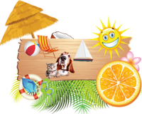 a summer greeting